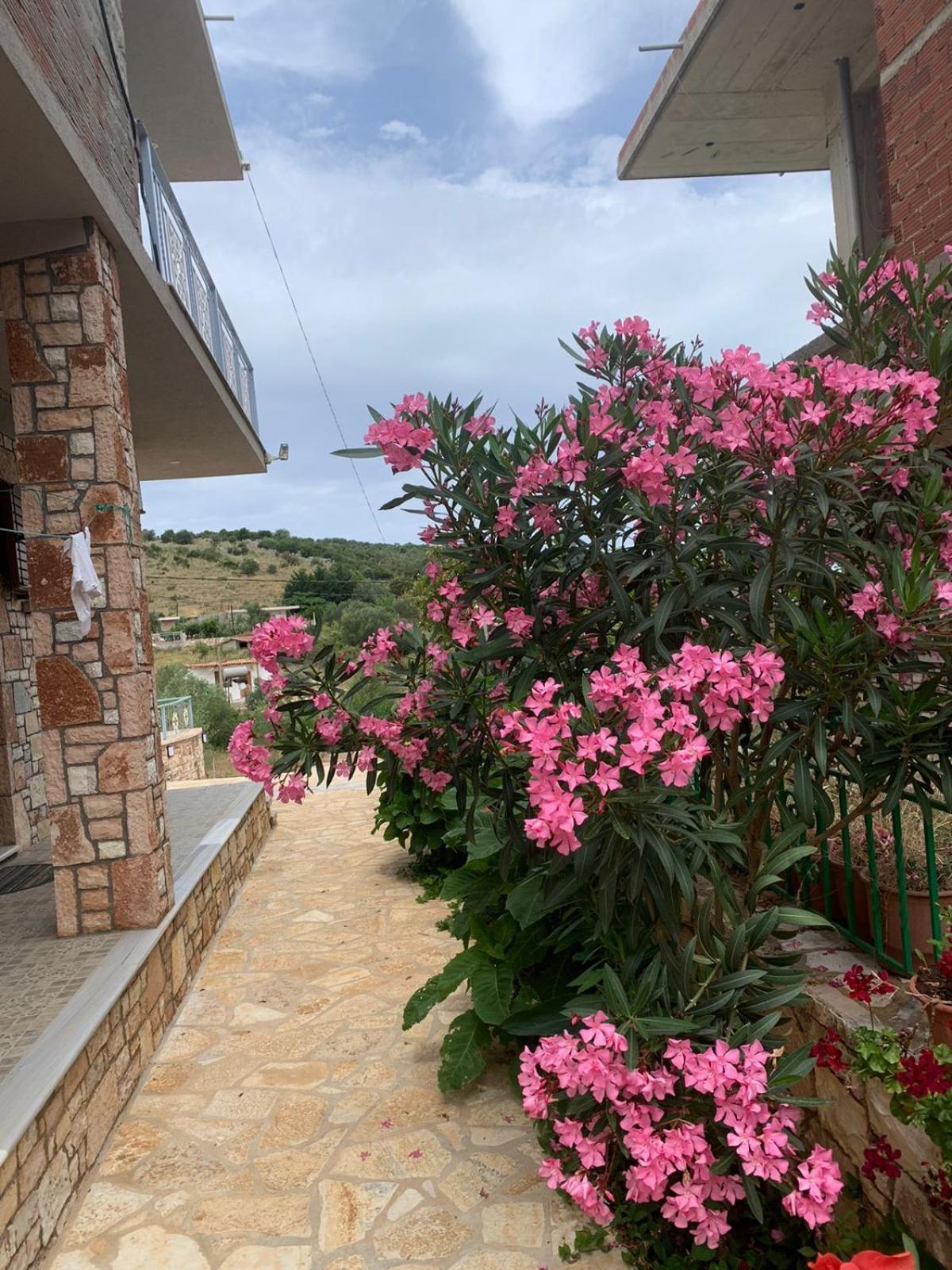Jasmina * Ksamil
